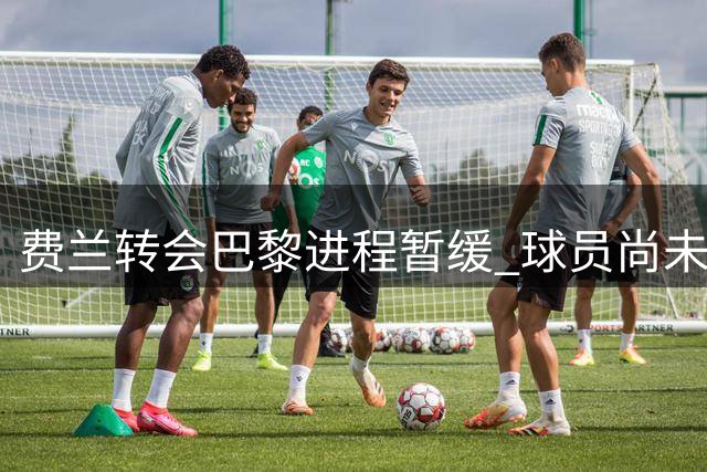 费兰转会巴黎进程暂缓 球员尚未获准启程体检